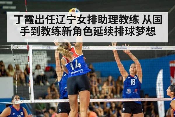 丁霞出任辽宁女排助理教练 从国手到教练新角色延续排球梦想